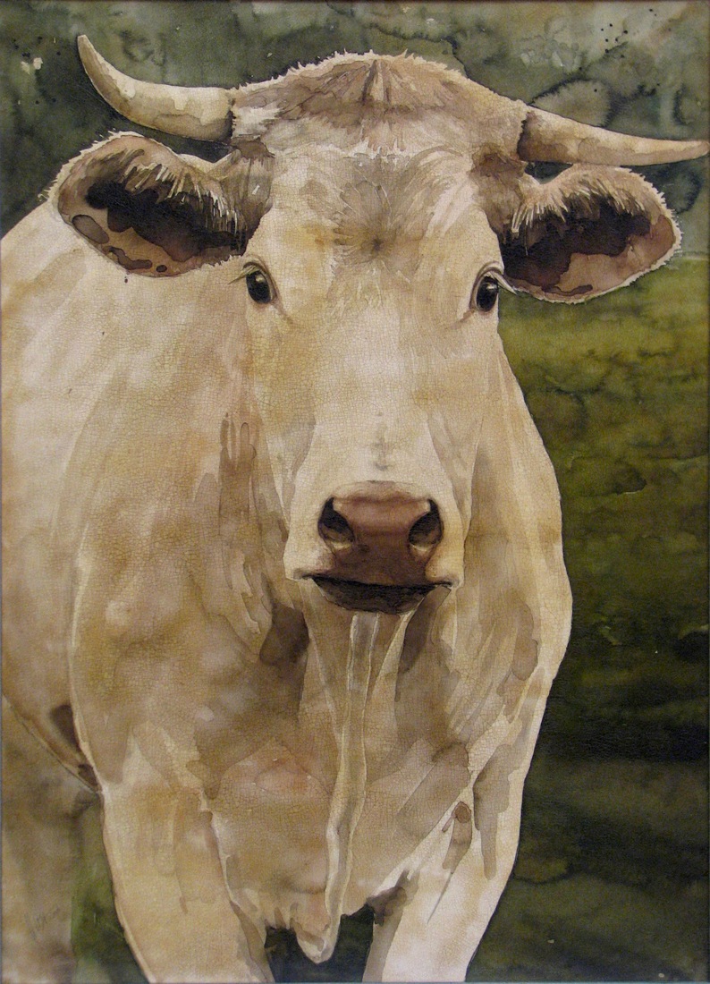 Koe, Blonde D'Aquitaine