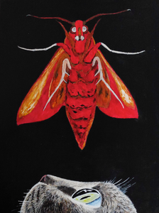 Schilderijen met het thema 'Katten'