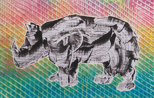 Rhino's die een thuis hebben gevonden