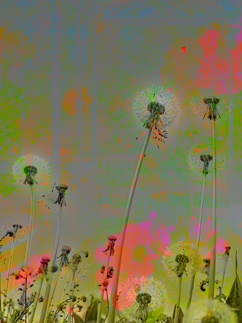 Colours of nature #5