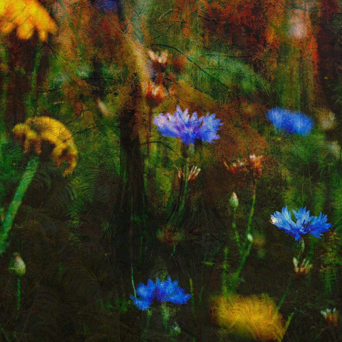 Colours of nature #6