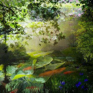 'Colours of nature' is een serie werken waarin ik 'speel' met de natuur. Elk werk in deze serie is een samensmelting van elementen, van subtiele texturen van bladeren en bloemen tot weidse landschappen en mysterieuze luchten. Door deze beelden te combineren ontstaat er een wereld die zowel herkenbaar als dromerig is. 