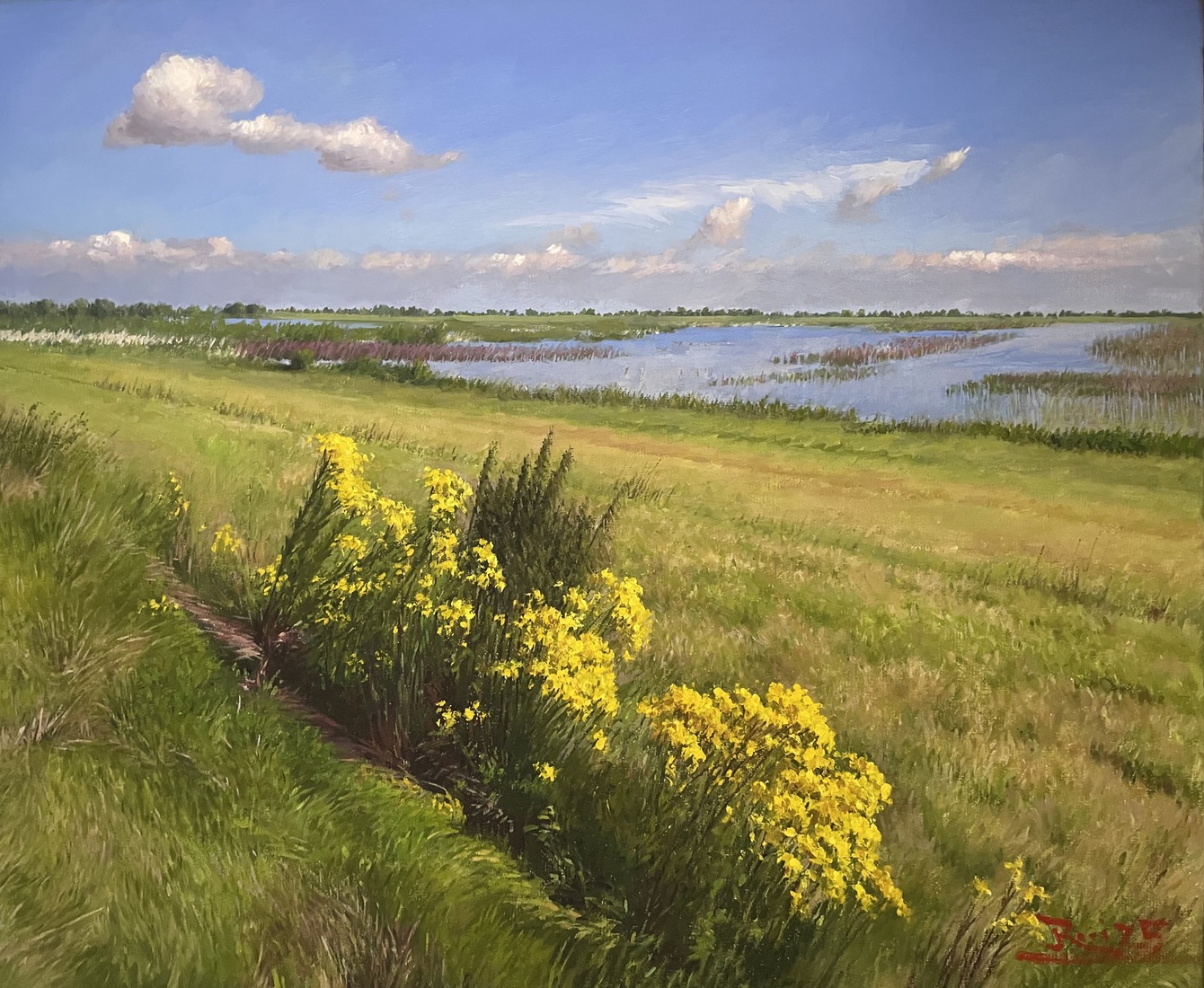 Wilde bloemen in Struikwaard