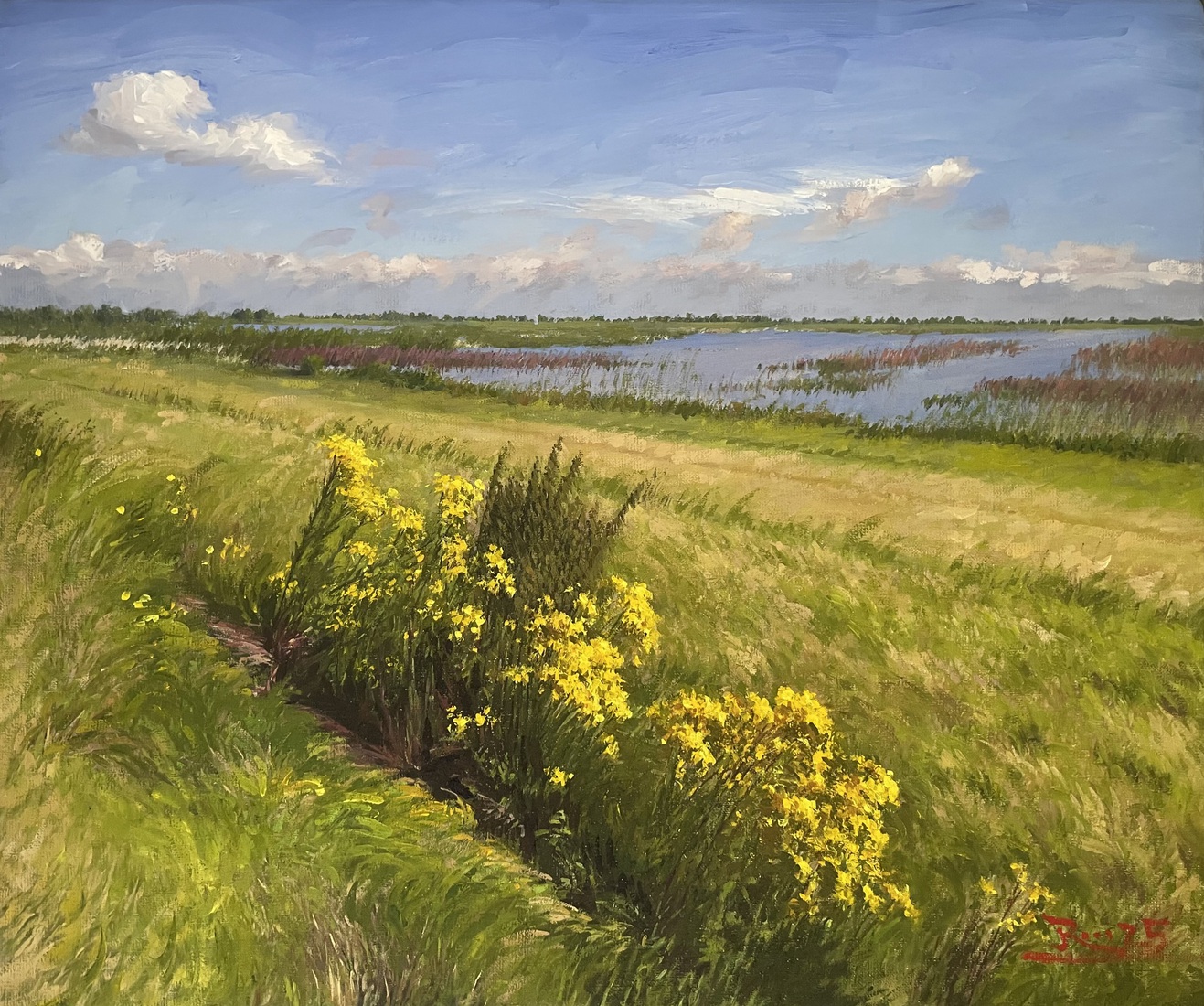 Wilde bloemen in Struikwaard