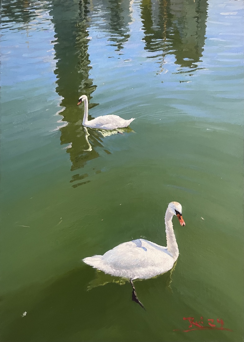 Twee zwanen en torens gespiegeld