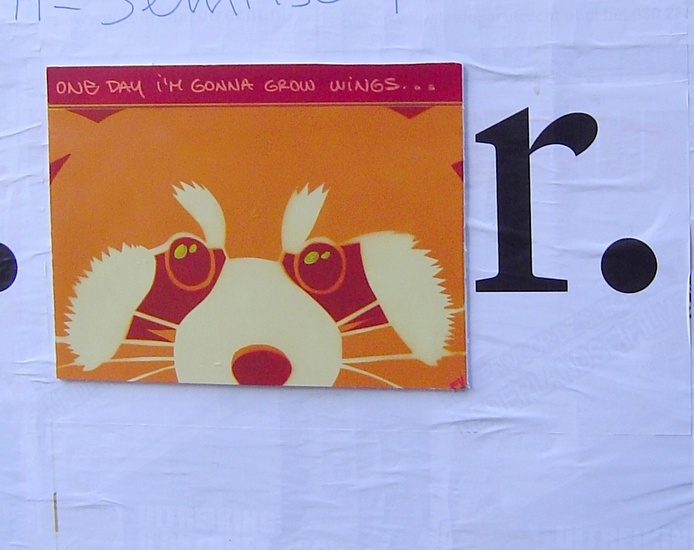 One day i'm gonna grow wings