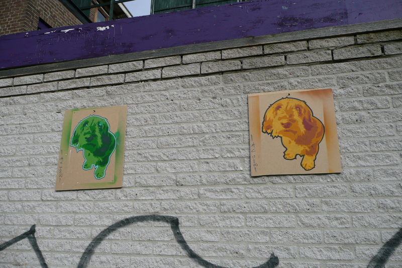 Joris (buitenversie)