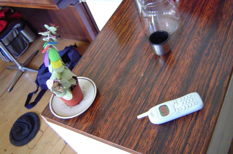 Vetplant en koelkast