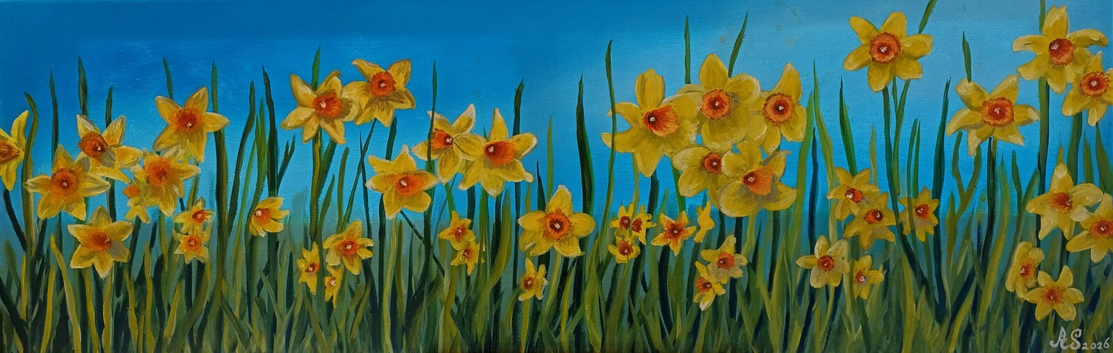 NARCISSEN 