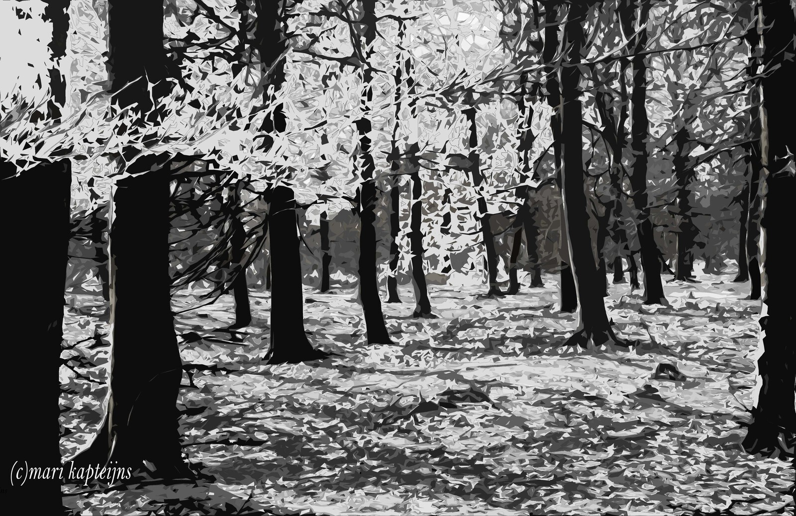 Bomen ZW