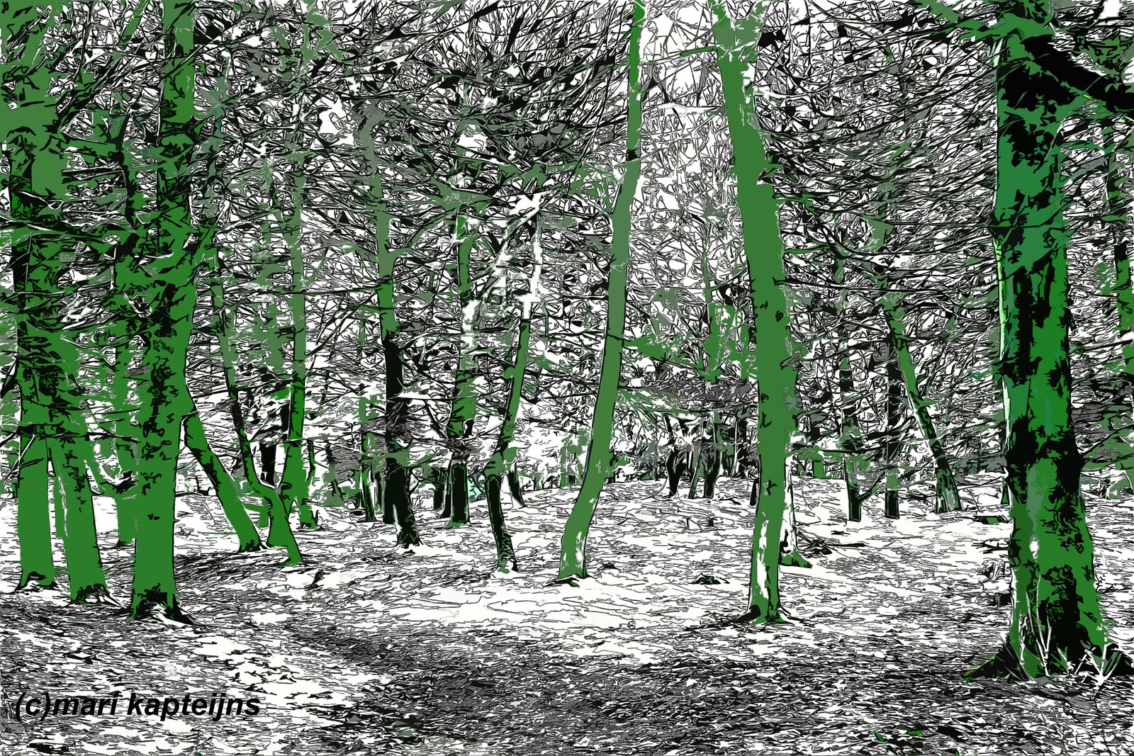 Bomen in groen