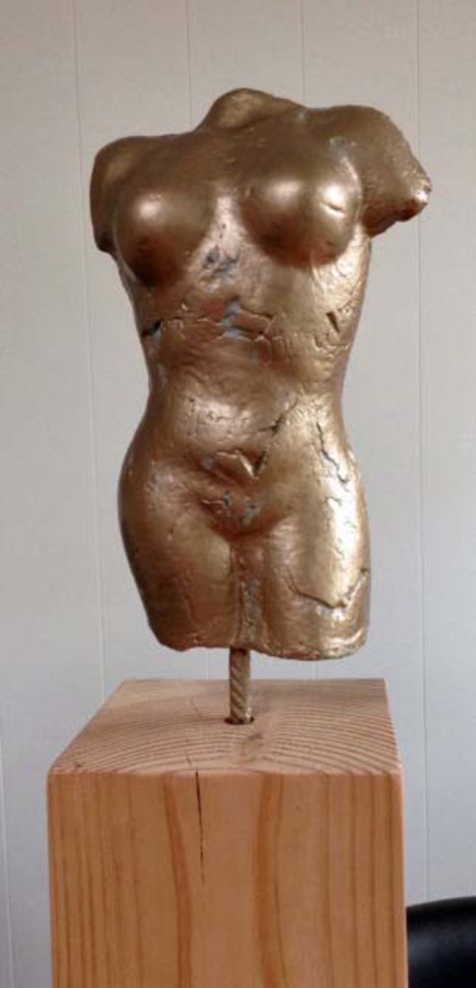 torso