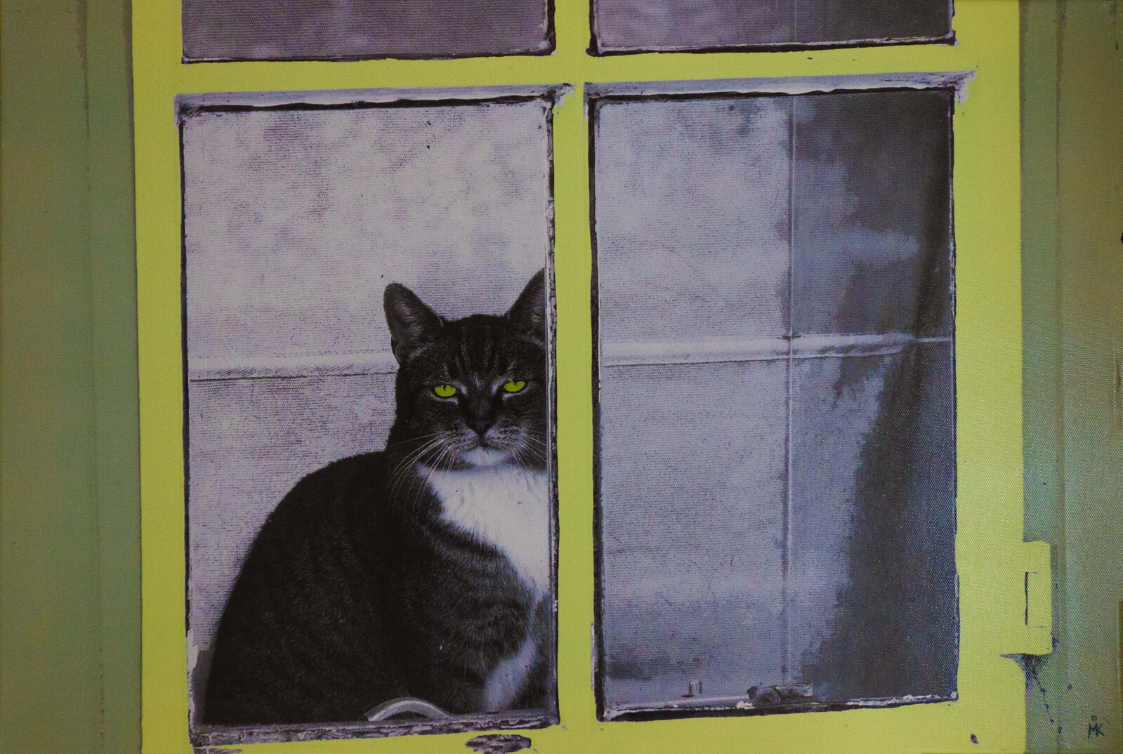 Kat