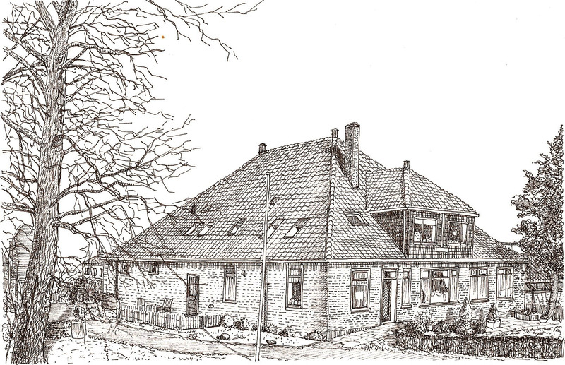 portret starnmeer II