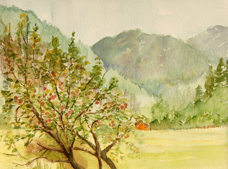 Korsvoll - oude appelboom