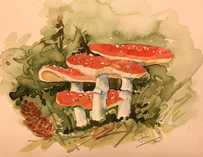 paddestoelen voor maarten