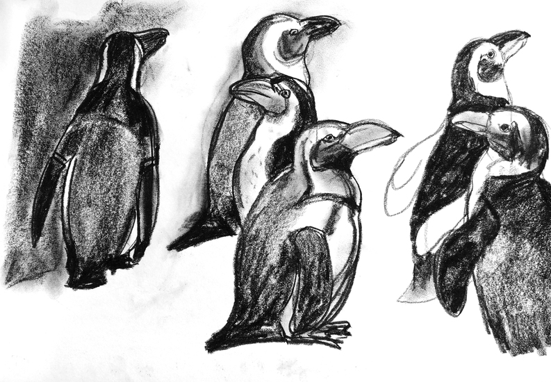 pinguins