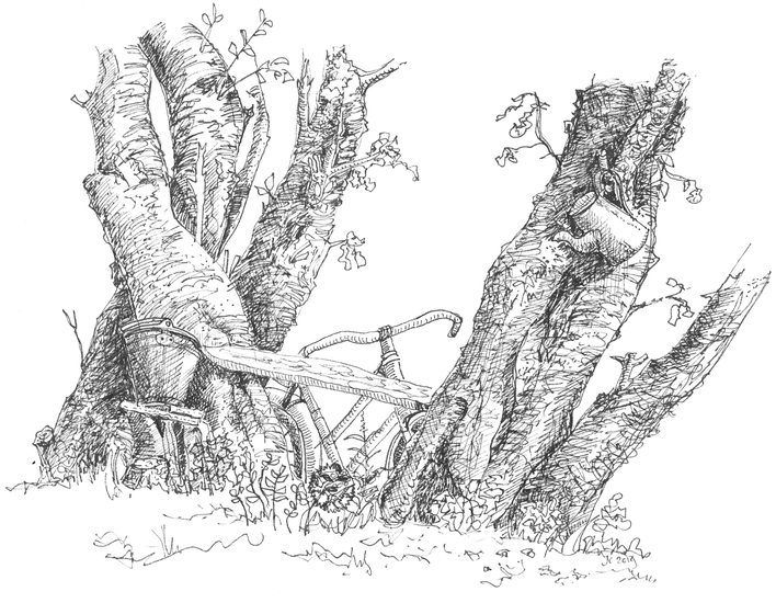 vergeten fiets, Lanty