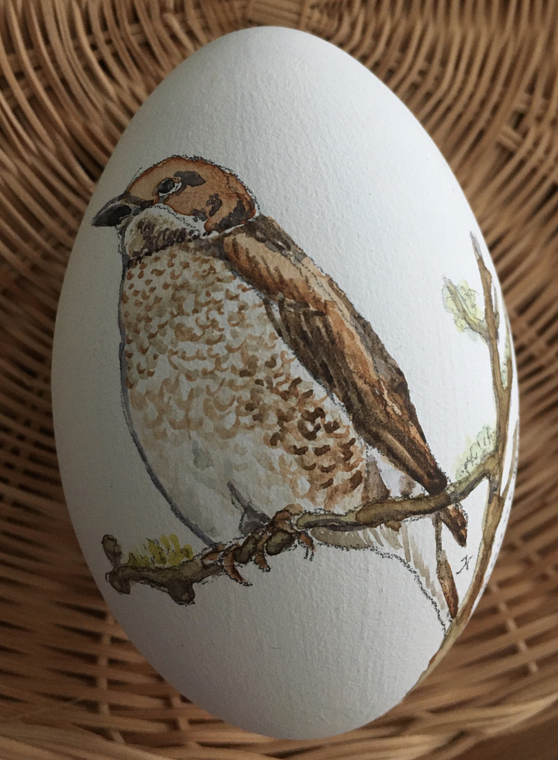 grauwe klawier op tak