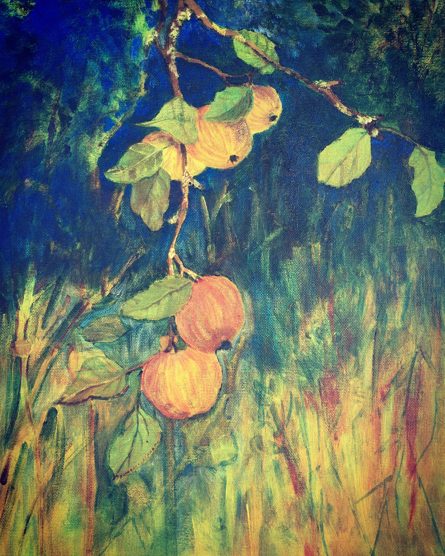 appelboom /Pommier francais