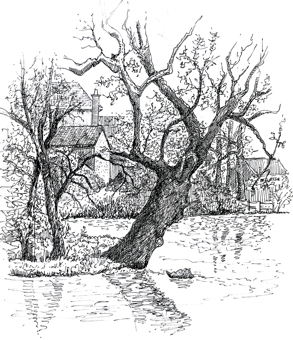 boom boven het water, Gigny-sur-Saone