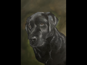 Op verzoek geschilderd.