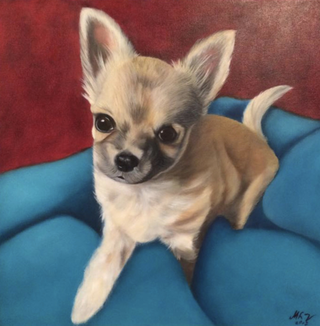 Chihuahua