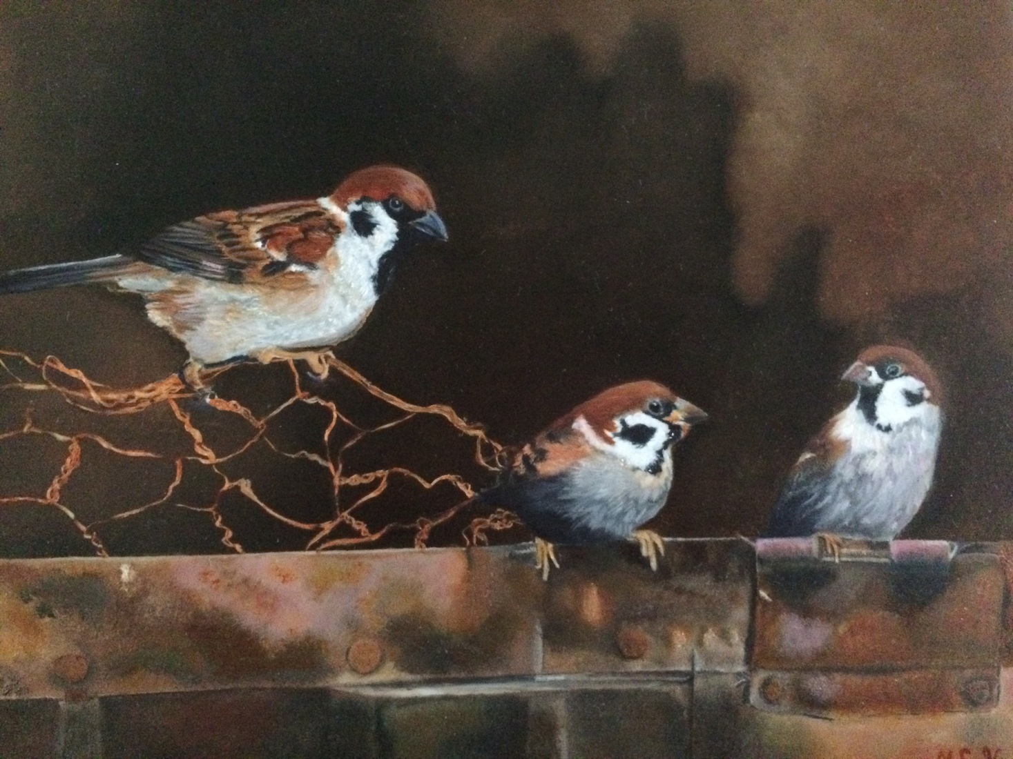 Een gezellig mussen onderonsje.