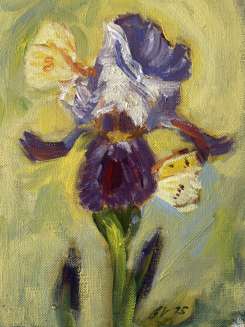 Iris met vlinders / Visioen 