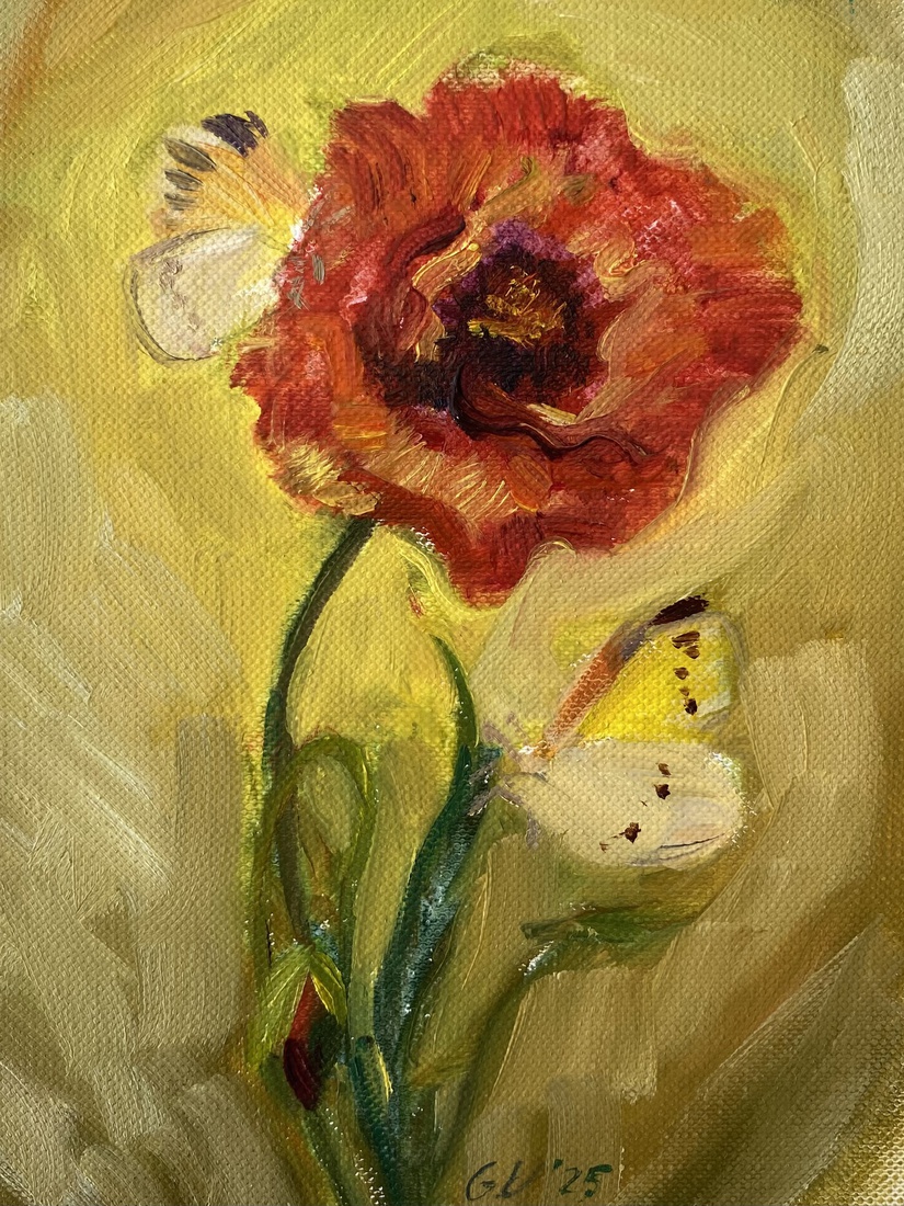 Klaproos met vlinders