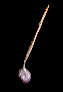 Minimalisme, veelal in low-key