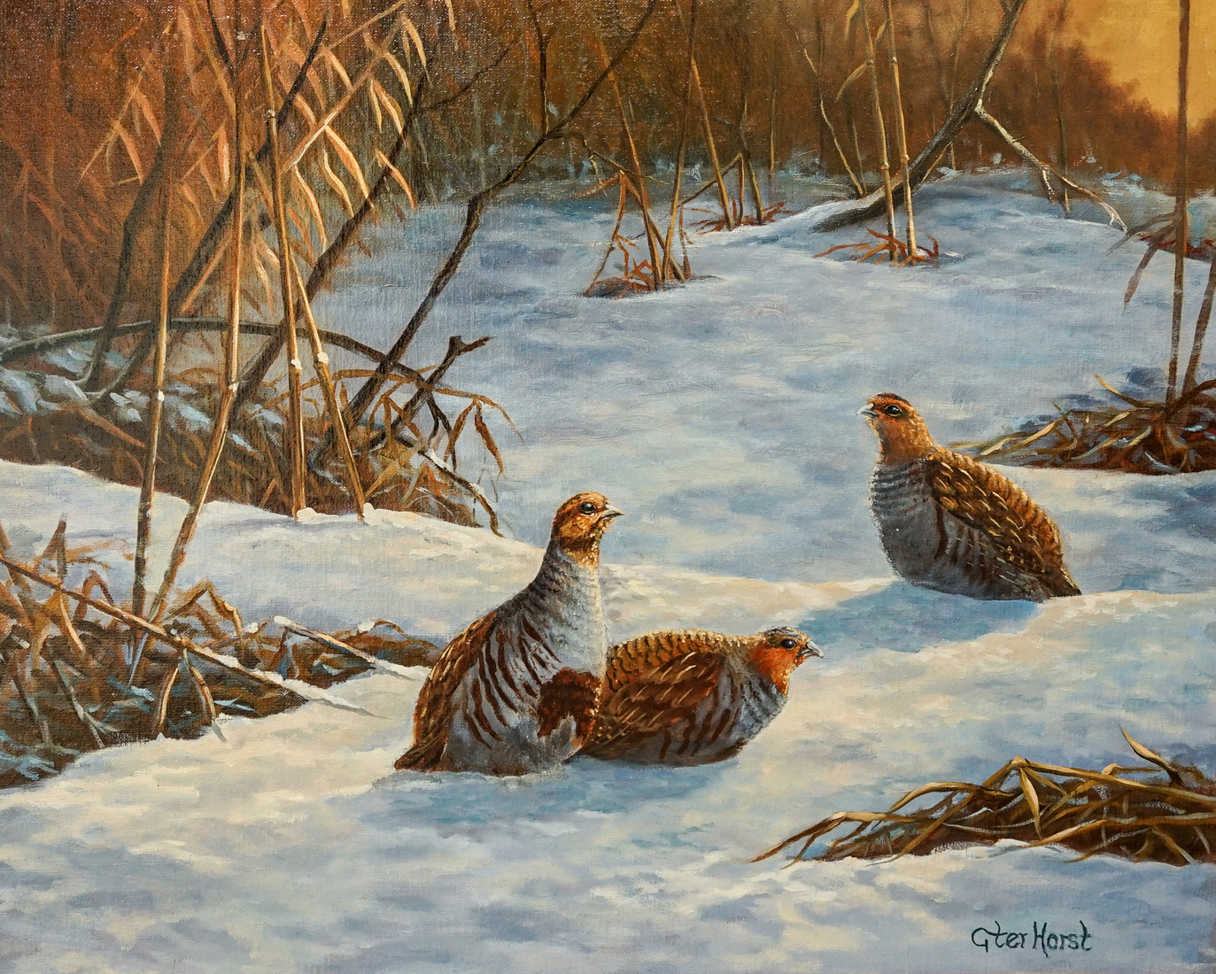 Patrijzen in de sneeuw