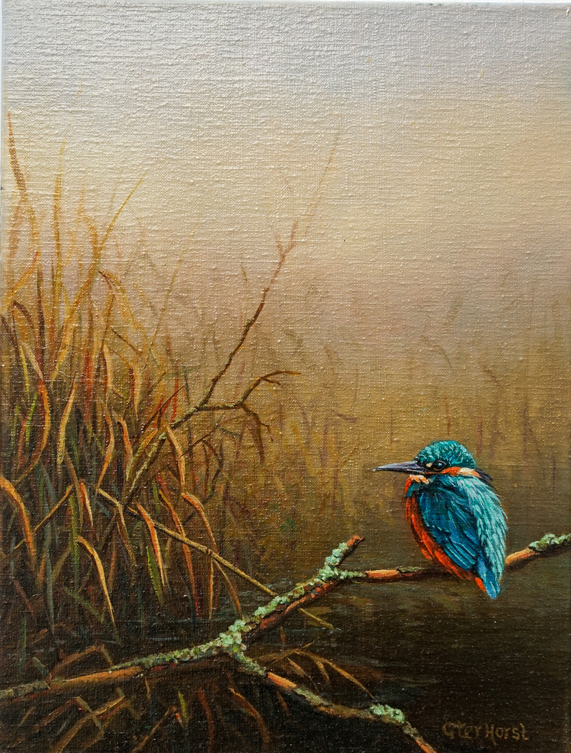 IJsvogel in rietkraag