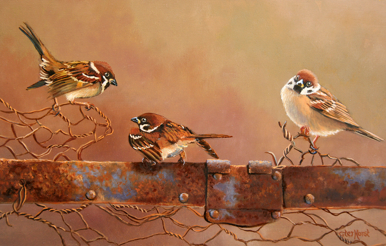 Ringmussen op roestig hek