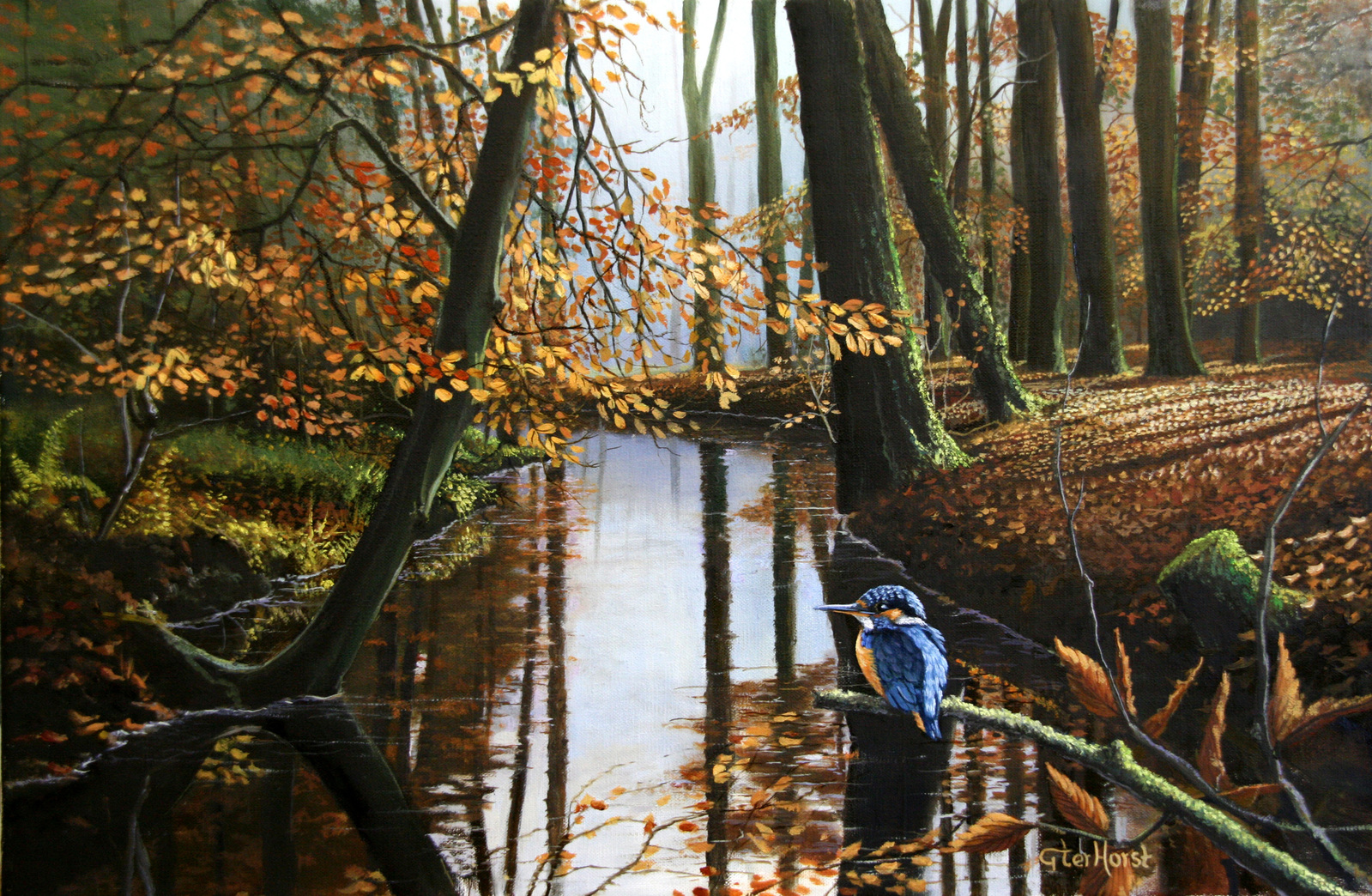 IJsvogel bij Leuvenumse beek