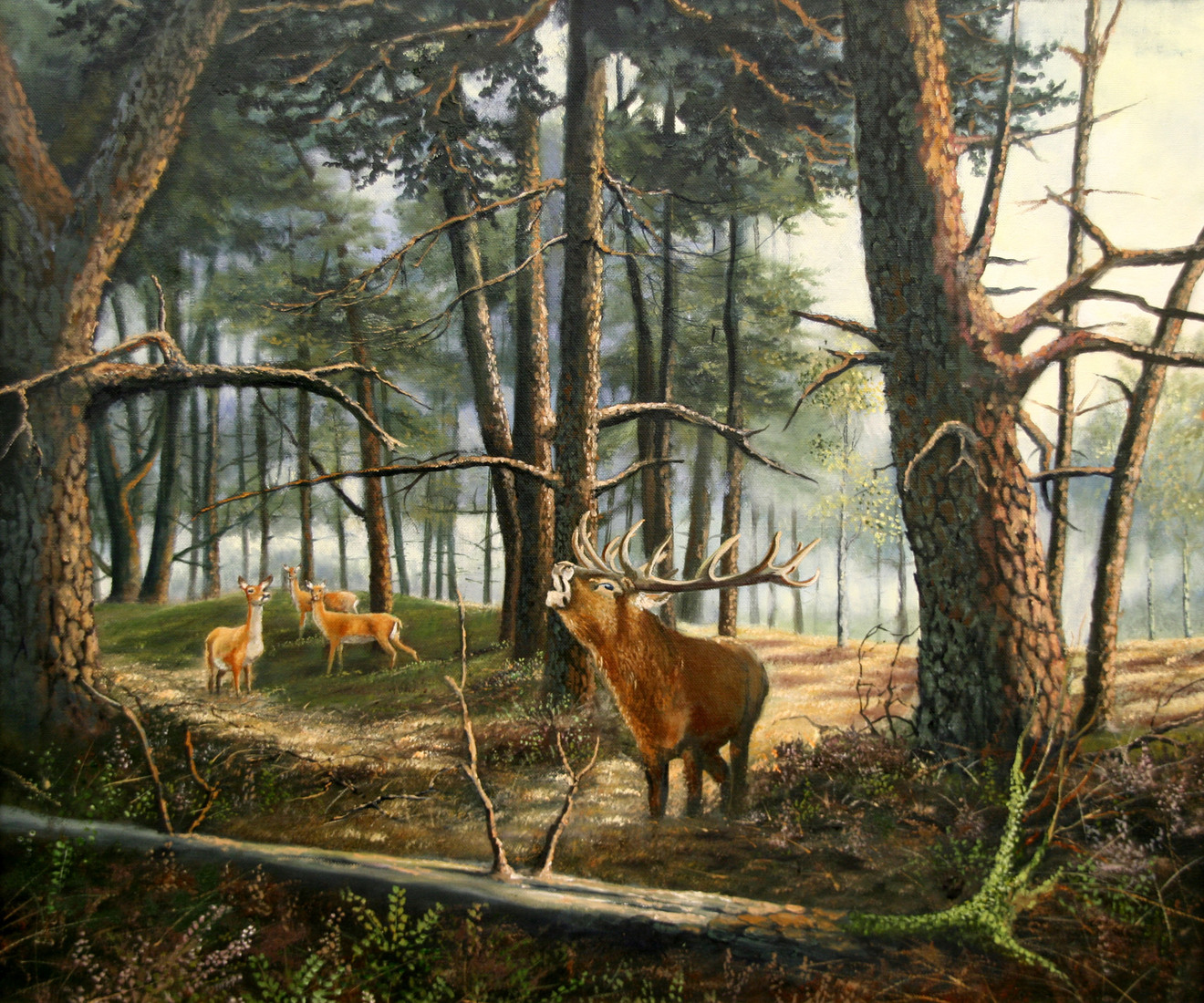 Burlend hert in bosrand