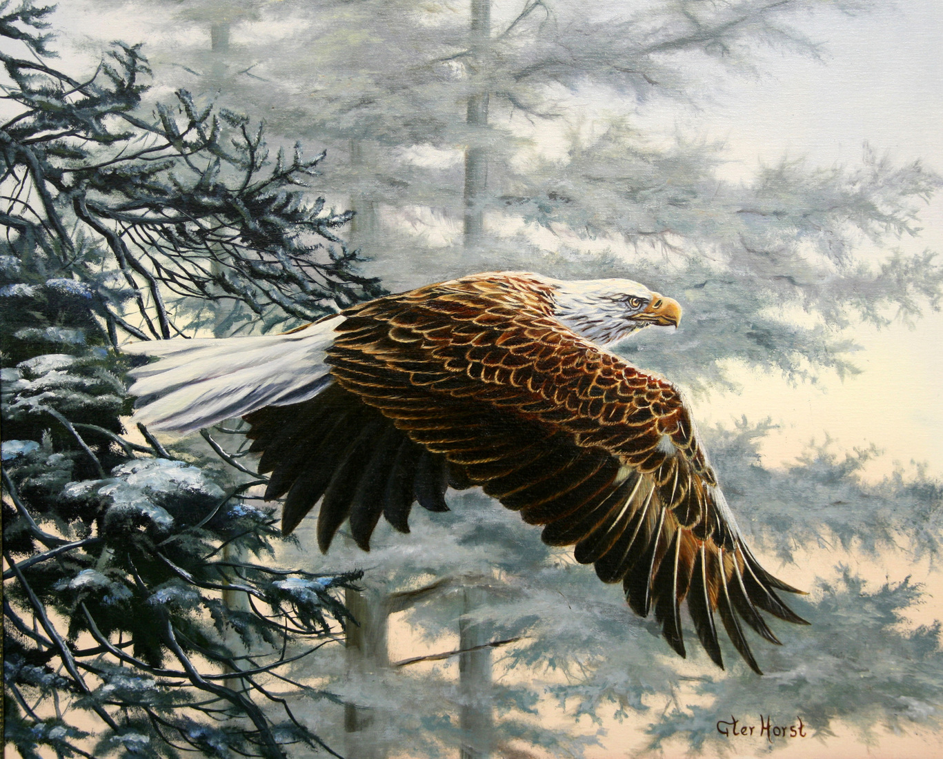 Bald Eagle