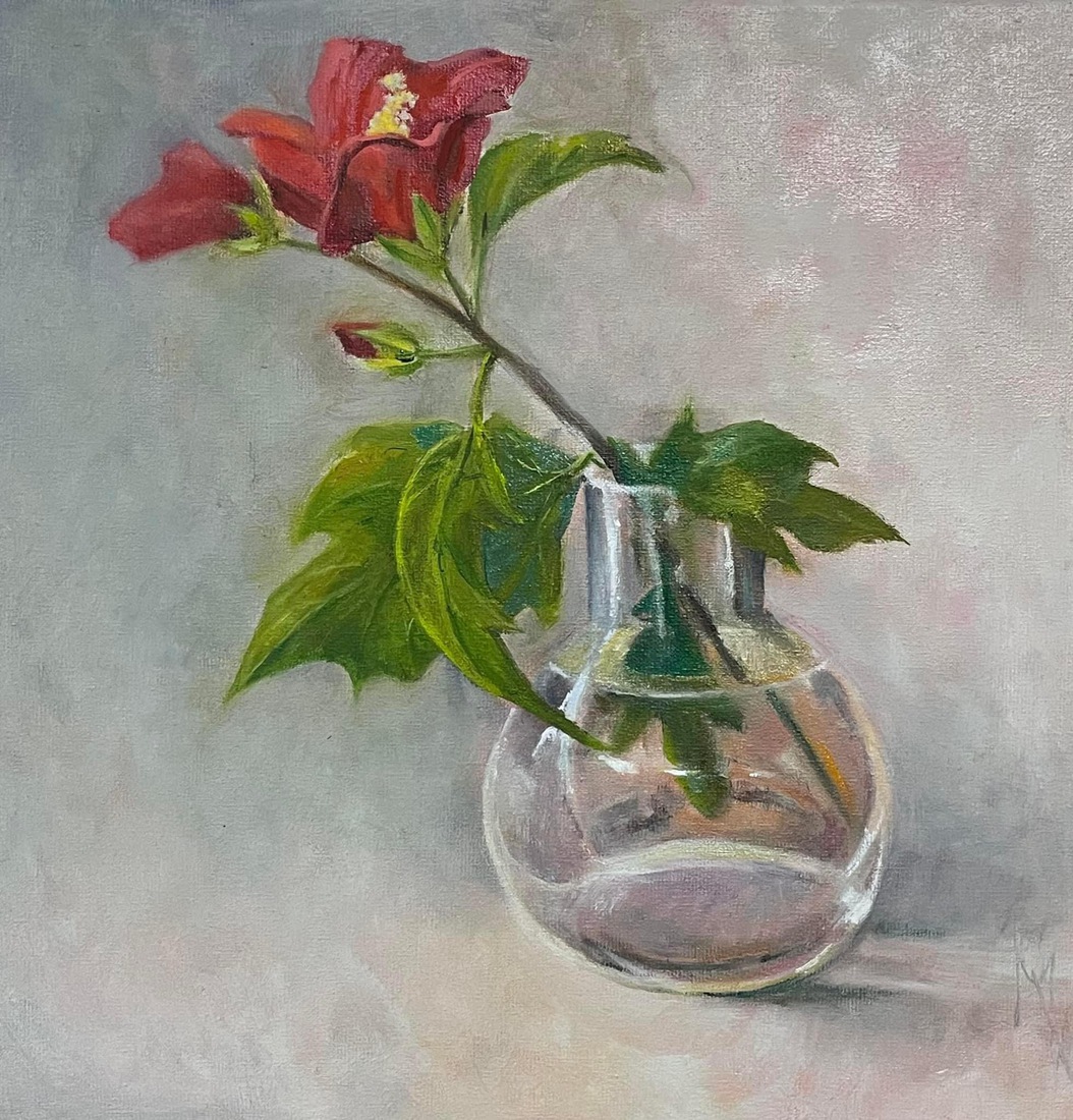 Hibiscus