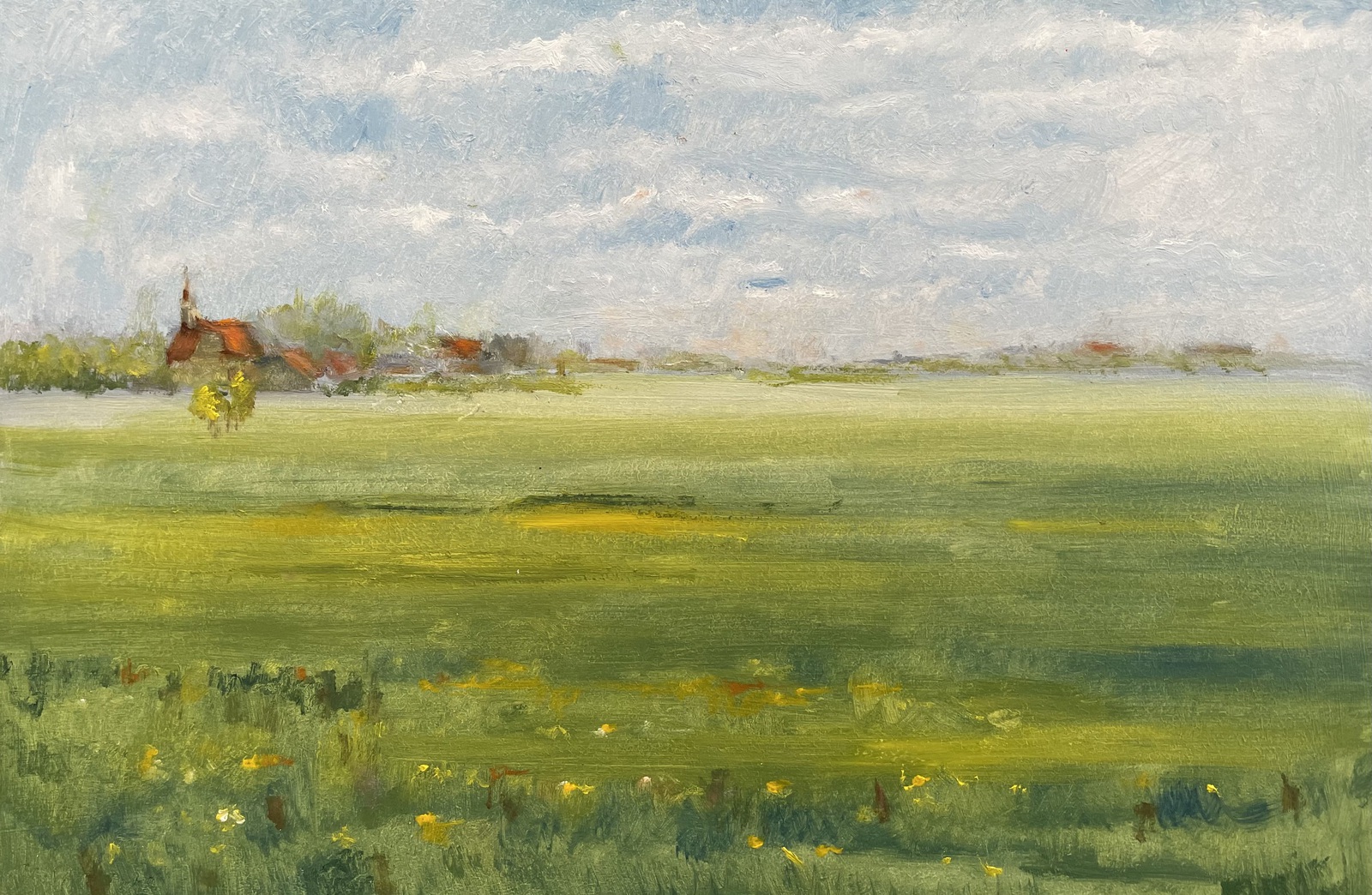 Groninger land