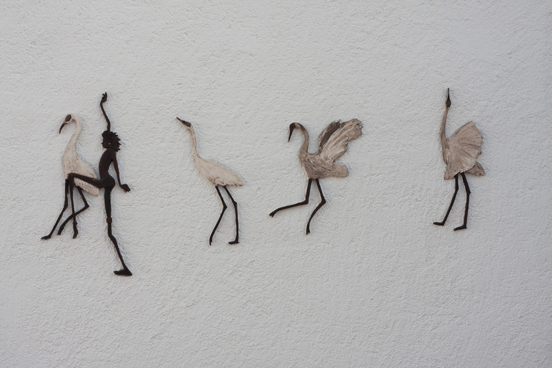 kraanvogels en danser