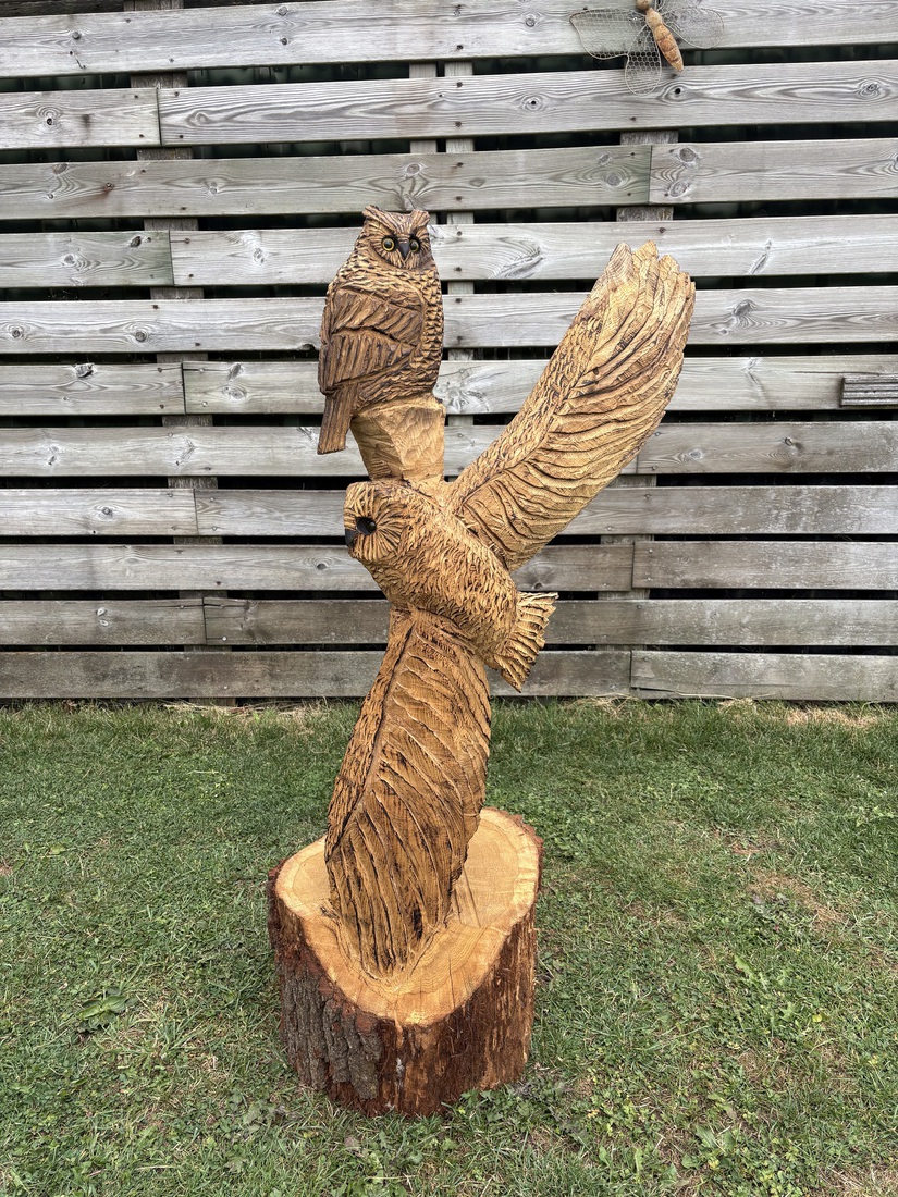 Uil in vlucht