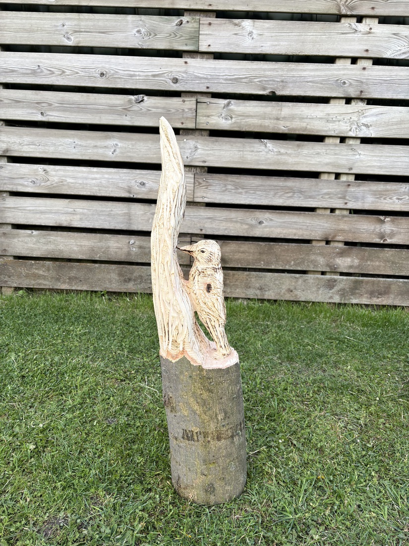 Specht
