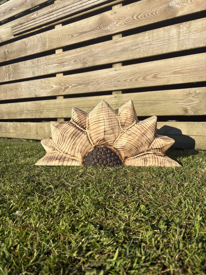 Zonnebloem 