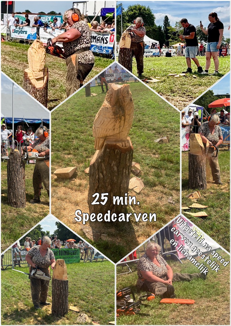 Overzicht speedcarving