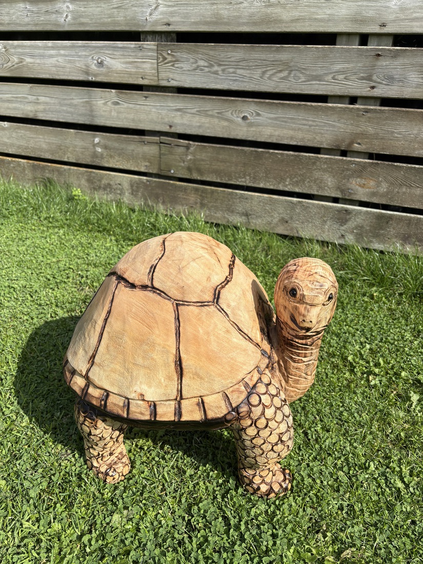 Schildpad