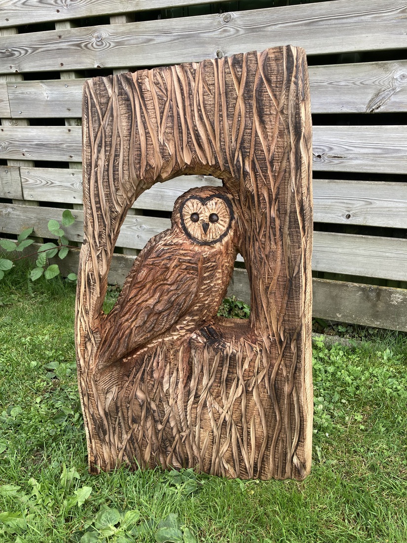 Uil aan de wand