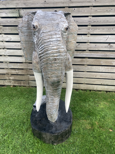 Mooier dieren