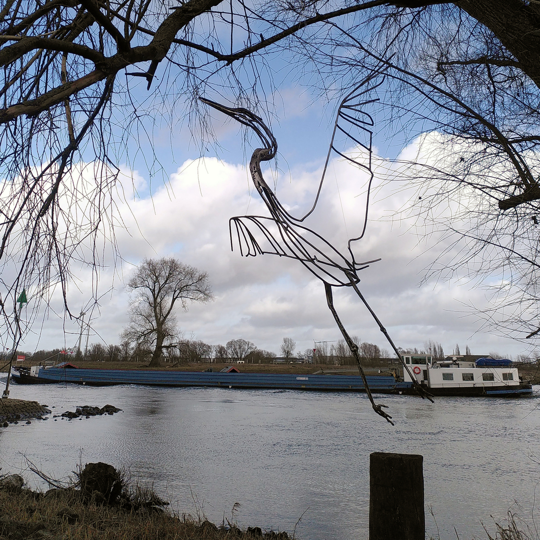 Grote zilverreiger II