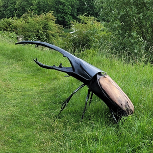 Beelden van staal, hout en overige materialen