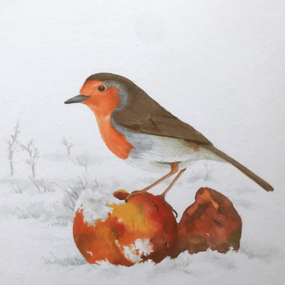 Roodborst in de sneeuw